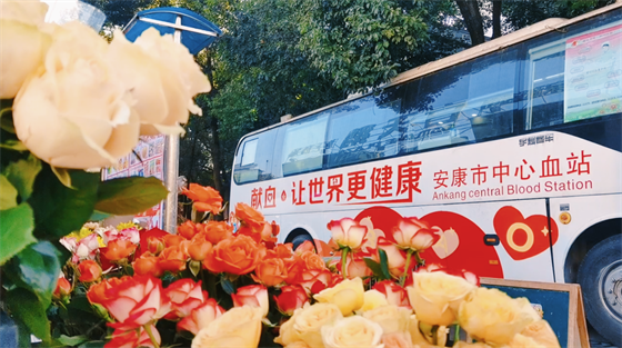 安康這三兄妹，熱血！