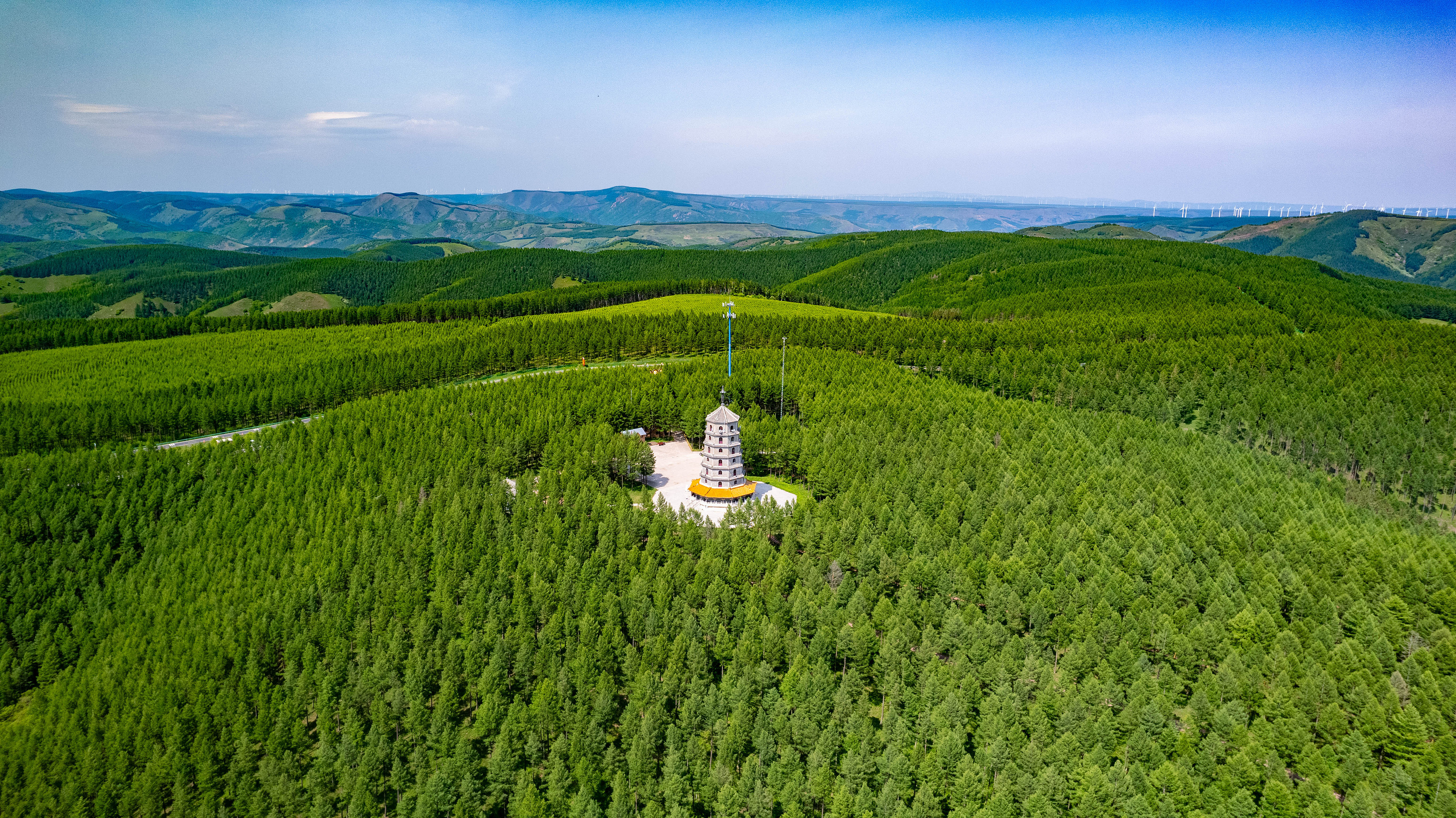 2025年6月11日，河北承德，塞罕壩林海浩渺。